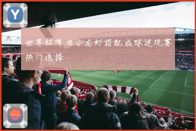 世界杯啤酒小龙虾搭配成球迷观赛热门选择